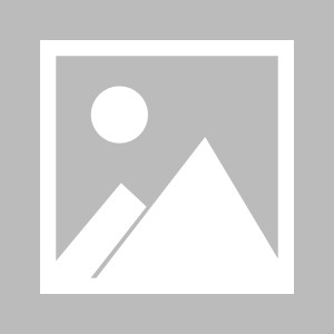 Leyu Sports-9月9日国际公路自行车赛→ 滨州这些路段将实行交通管制！